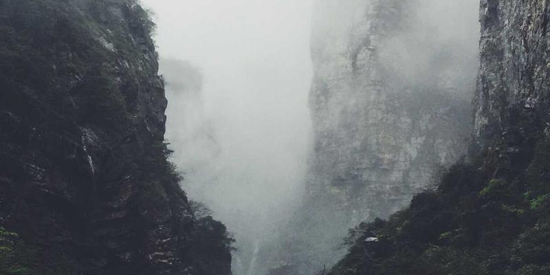 从伊甸园牧场到你的餐桌：有机食品如何通过肠道菌群重塑消化与免疫力