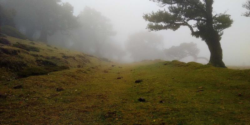 从伊甸园牧场到餐桌：如何用生态农业故事打造有机餐饮品牌，吸引健康生活追随者