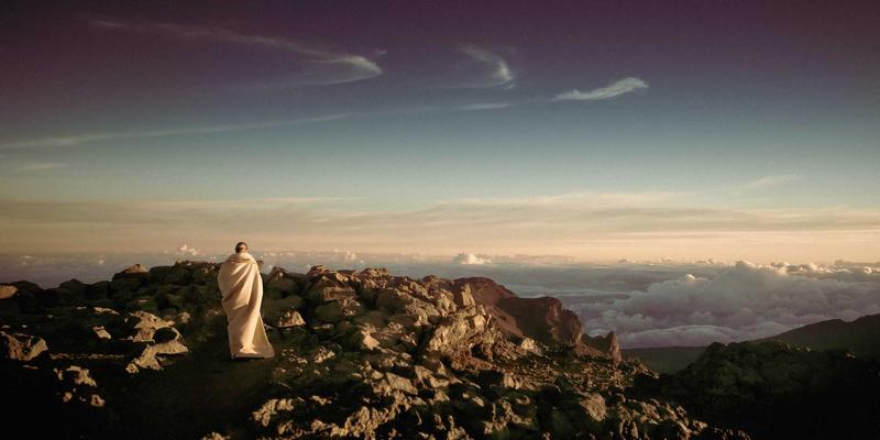 从伊甸园牧场到餐桌：有机食品如何重塑我们的饮食与地球未来