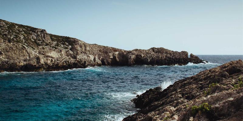 从伊甸园牧场到餐桌：解锁有机食品的正确使用与生态价值