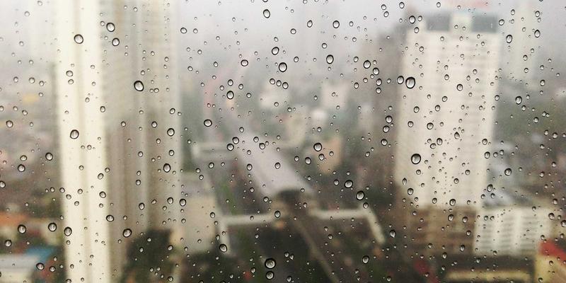 从伊甸园牧场到餐桌：践行有机食品最佳实践，开启健康生活新范式