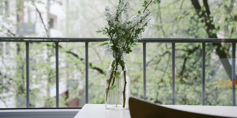 从伊甸园牧场看有机食品：一场关于健康与可持续发展的绿色革命