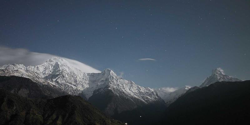 从土地中疗愈：战后创伤群体的园艺疗法与有机农耕社会融合之路