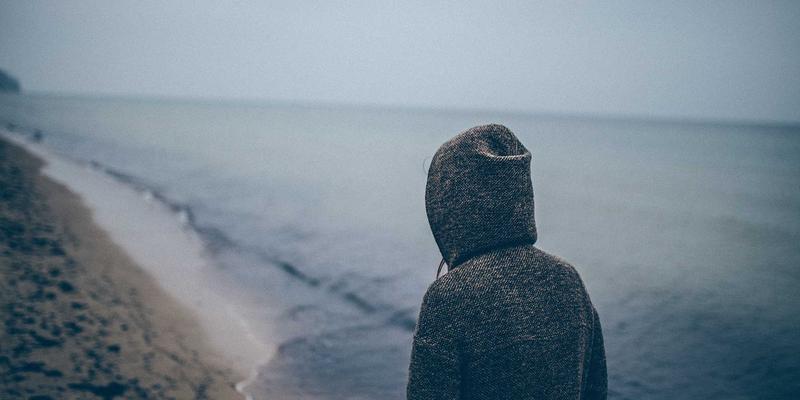 从土壤到肌肤：有机化妆品原料的生态种植与活性守护