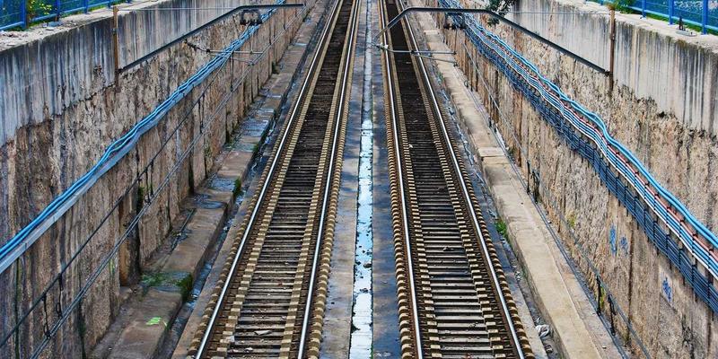 从生态农业到健康生活:伊甸园牧场如何重新定义有机食品