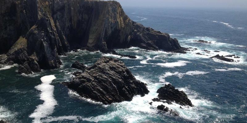 从生态农业到健康生活：探访伊甸园牧场与城市有机农夫市集如何重塑本地食物体系