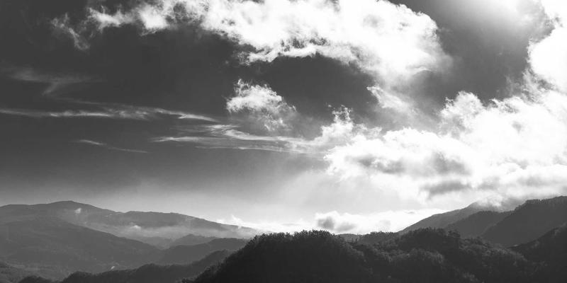 从生态农业到餐桌:伊甸园牧场如何重塑有机食品21世纪新标准