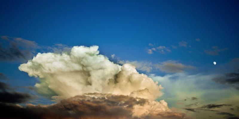 伊甸园牧场：从农场到餐桌的完整体验，如何引领健康生活与有机食品新趋势