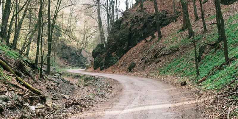 伊甸园牧场：以可持续发展为核心，重新定义有机食品的未来