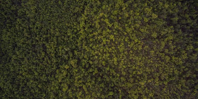 伊甸园牧场引领有机零食新趋势：健康代餐与清洁标签产品的创新方向