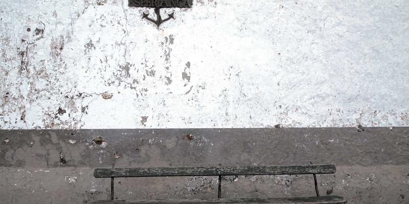 伊甸园牧场：当自然动力法邂逅传统工艺，酿造有机葡萄酒的健康生活哲学