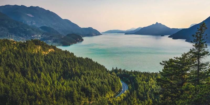 伊甸园牧场：有机食品如何重塑您的健康生活