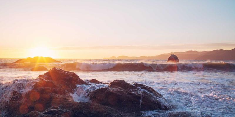 伊甸园牧场：有机食品如何重塑肠道菌群，开启健康生活新篇章