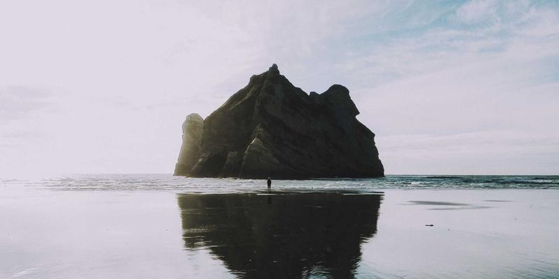 伊甸园牧场：解码有机食品溢价背后的价值链，从田间到餐桌的可持续发展之旅