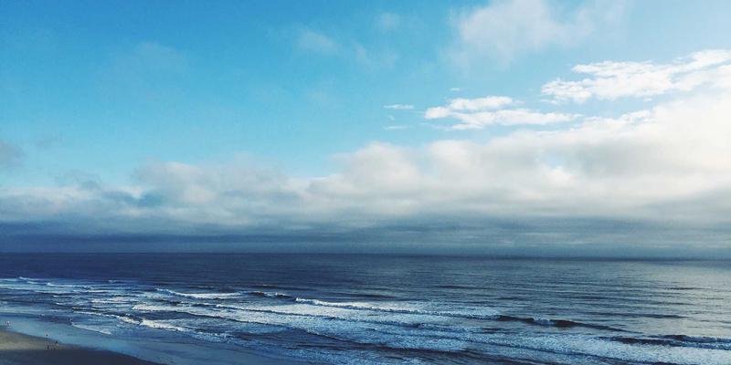 健康生活新选择：伊甸园牧场有机葡萄酒与生物动力法的生态农业实践