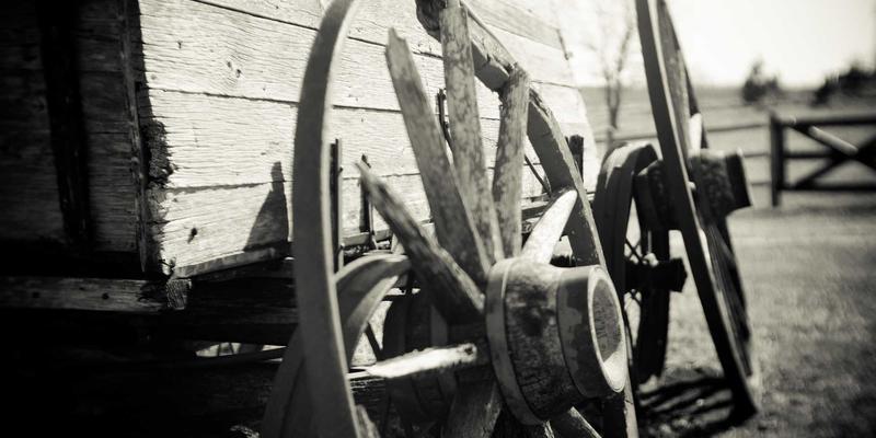 有机婴幼儿辅食选购指南：辨别真伪与确保营养安全的健康生活之道