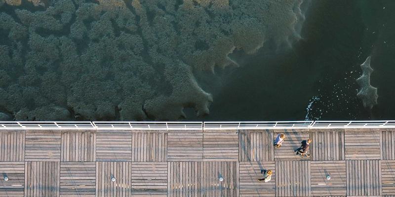 有机宠物食品兴起：如何为爱宠选择更天然的健康口粮
