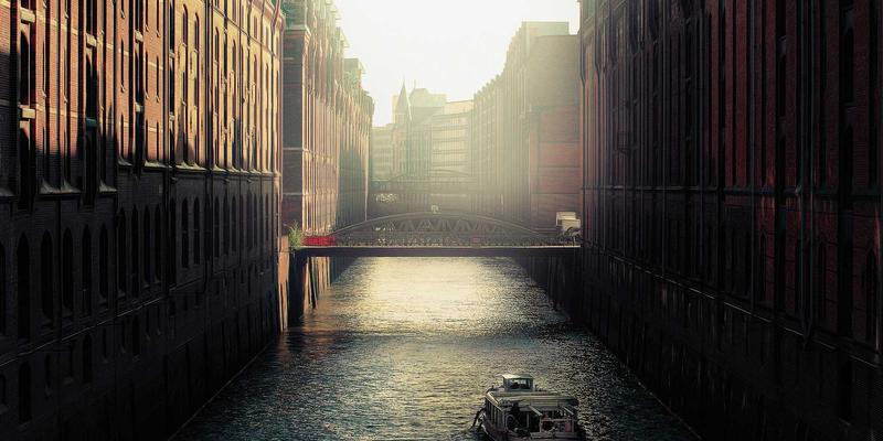 有机葡萄酒的酿造哲学：从生物动力法到风土表达，如何实践可持续发展与健康生活