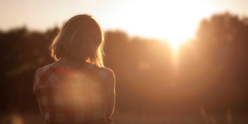 有机葡萄酒的风土奥秘：生物动力法如何塑造独特风味与生态平衡