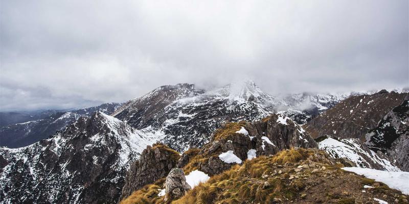 有机零食品牌市场分析：健康消费趋势下的产品创新与可持续发展挑战