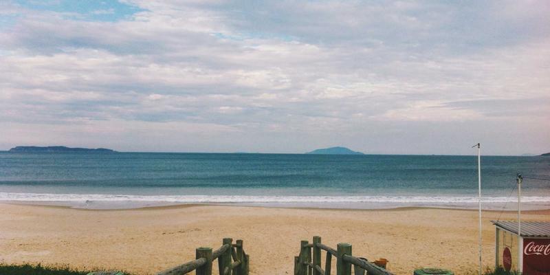 有机食品与生态农业：开启健康生活的绿色钥匙