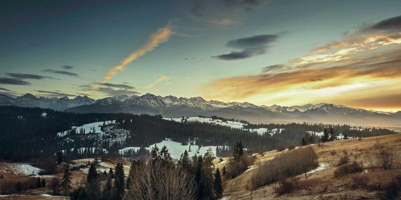 有机食品与生态农业：探访伊甸园牧场的自然馈赠