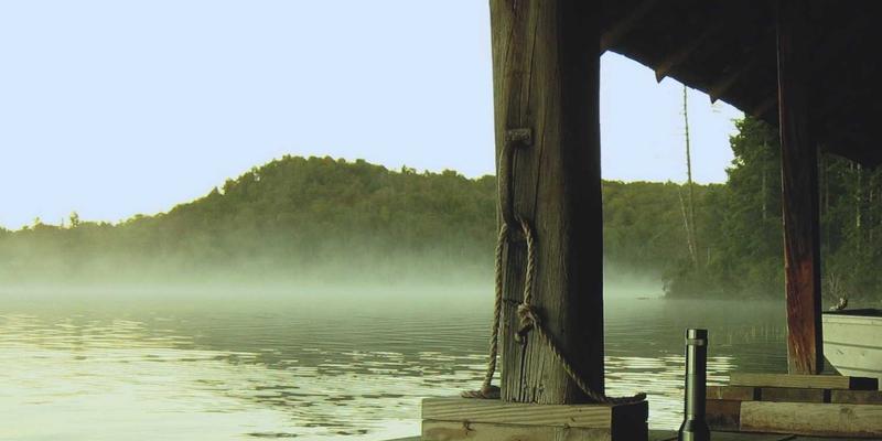 有机食品：从伊甸园牧场到餐桌的健康生活革命