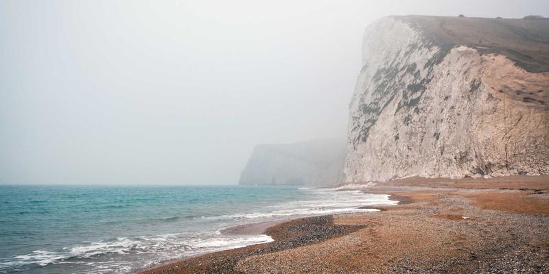 有机食品入门：从生态农业到健康生活，探索伊甸园牧场的自然馈赠