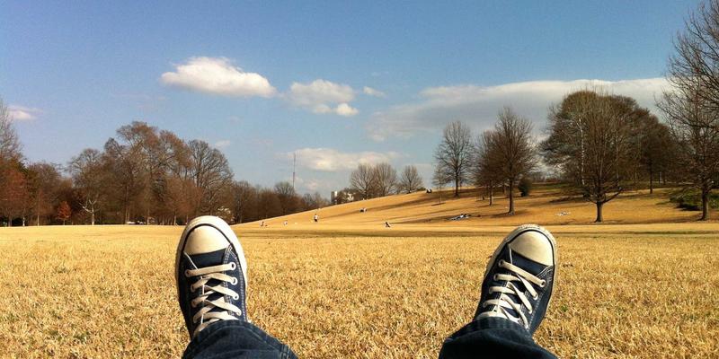 有机食品的“光环效应”：从伊甸园牧场看可持续发展与消费者心理