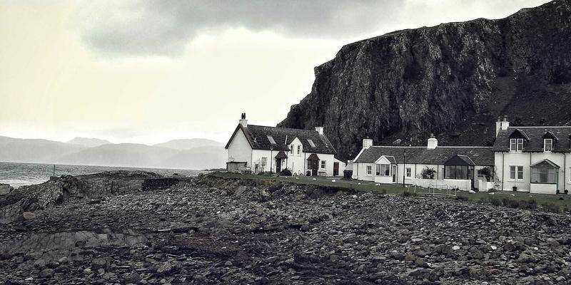 有机食品的“新鲜度悖论”：破解供应链与本地化消费的可持续发展密码