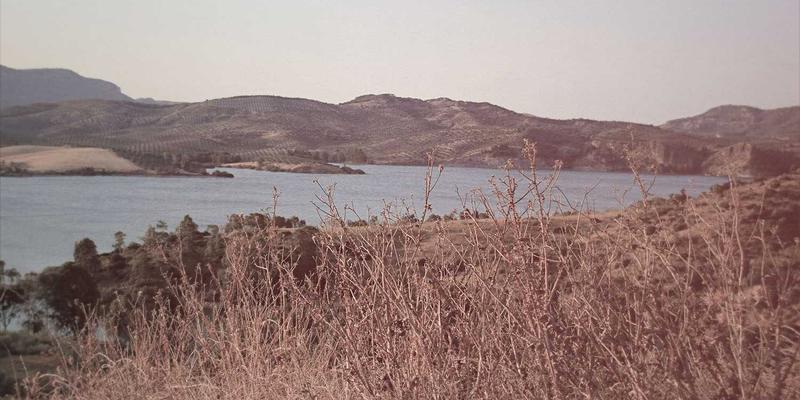 有机食品进阶：从健康选择到生态责任，构建可持续的健康生活