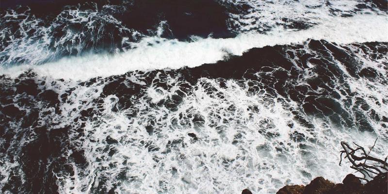 有机餐厅的商业模式探索：如何平衡成本、品质与可持续理念