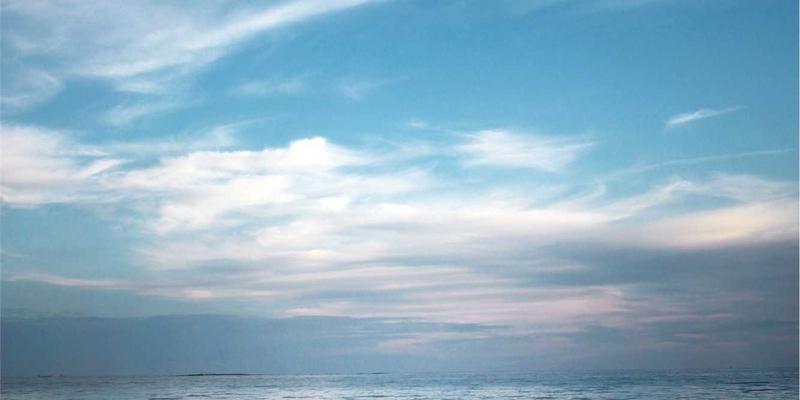 有机餐饮重塑酒店业：以可持续发展与生态农业提升客户体验与企业责任