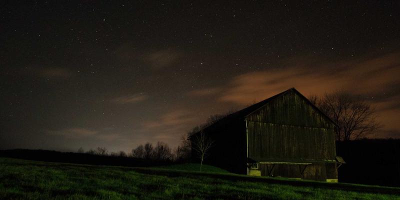 生态农业如何重塑餐桌？探秘伊甸园牧场的有机食品革命